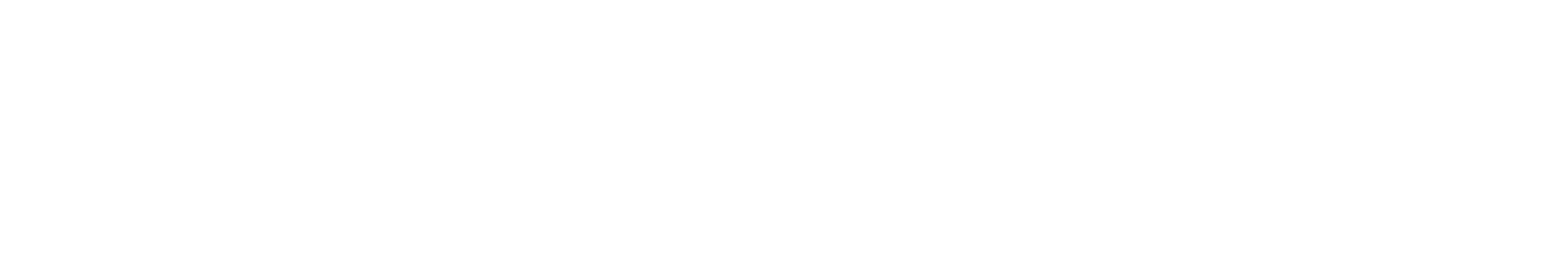 Network Elites