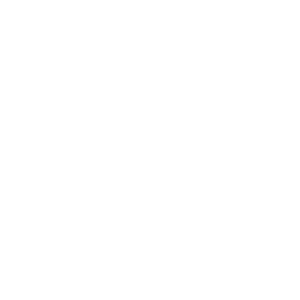 Bobby Lashley Academy